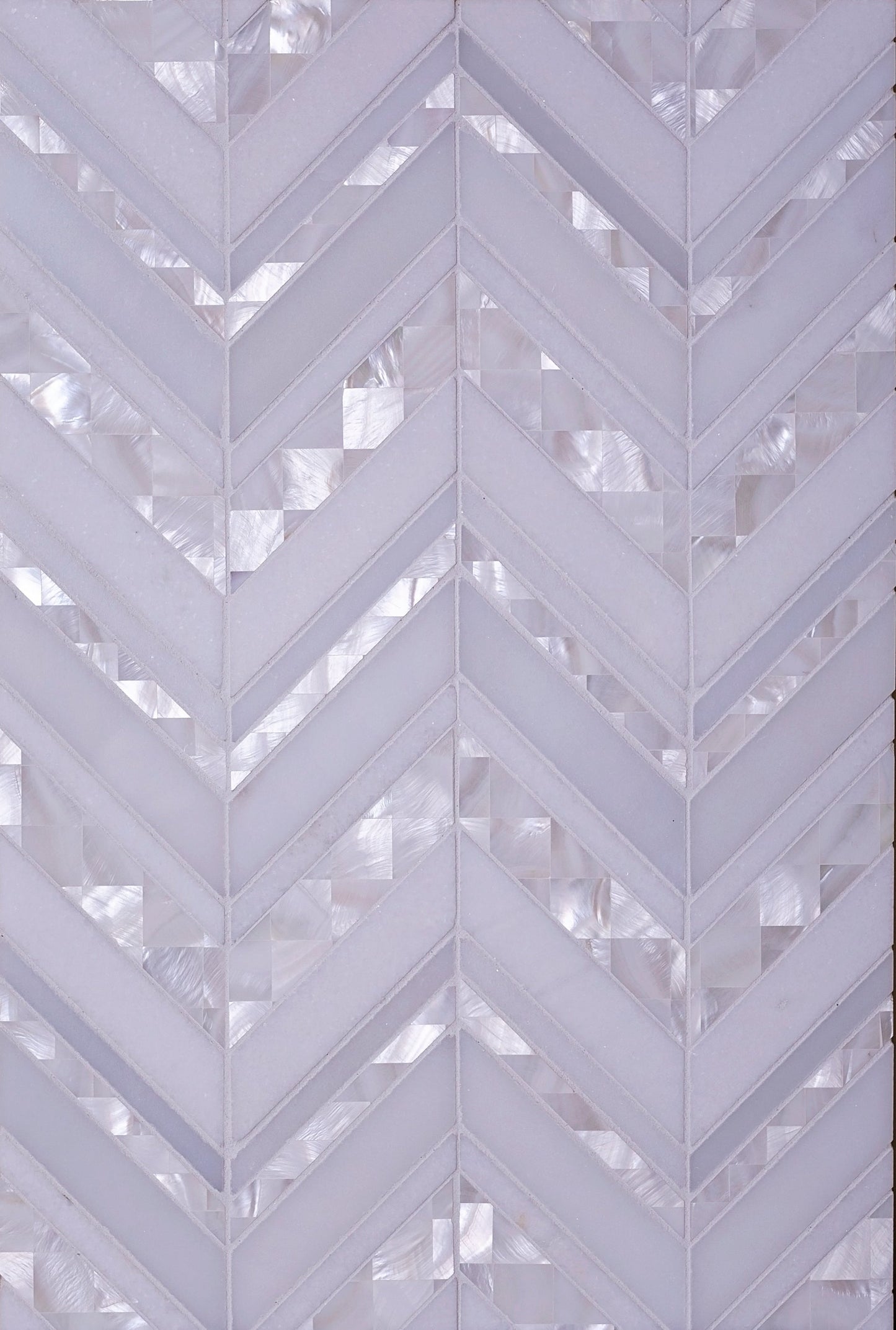 Pearl White 12x12 polished Thassos, Shell Mosaic Tile Sample
