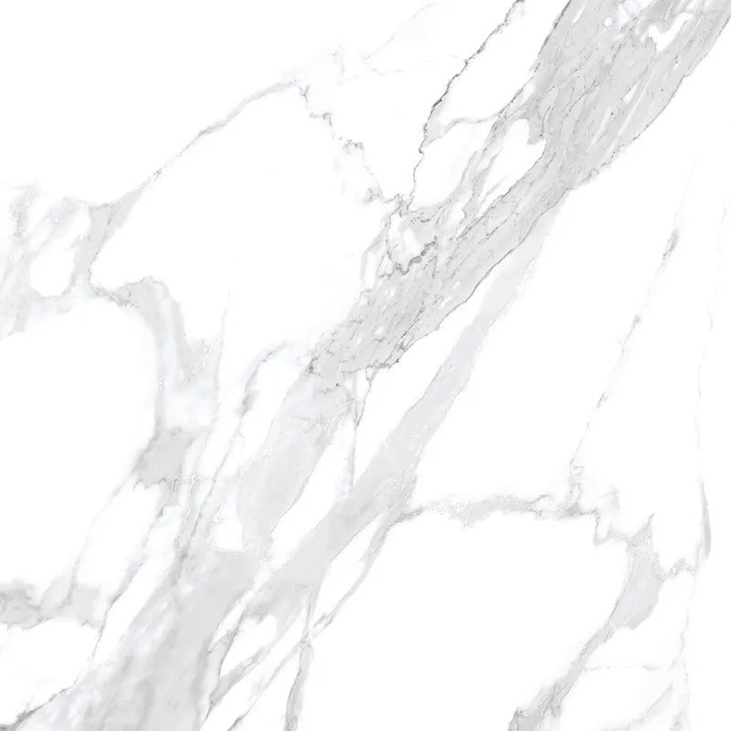 Statuary White 24 x 24 Polished Porcelain Large Tile