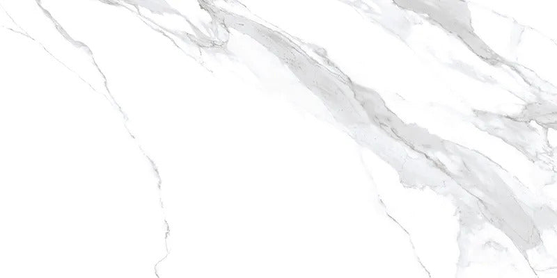 Statuary White 24 x 48 Polished Porcelain Large Tile