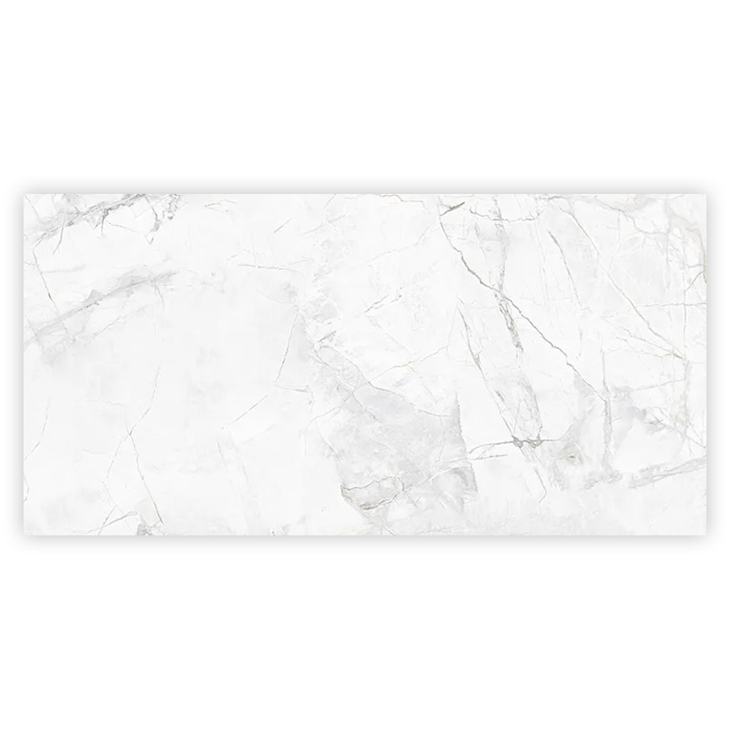 Bright White with Gray 24 x 48 Polished Ceramic Large Tile