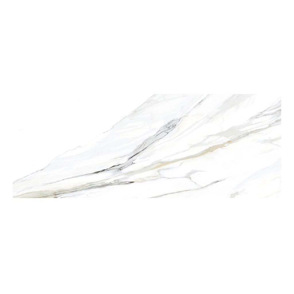 White 24 x 48 Matte Porcelain Large Tile - Sample