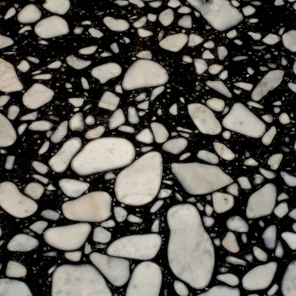 Jet Black 24 x 24 Polished Terrazzo Large Tile - Sample