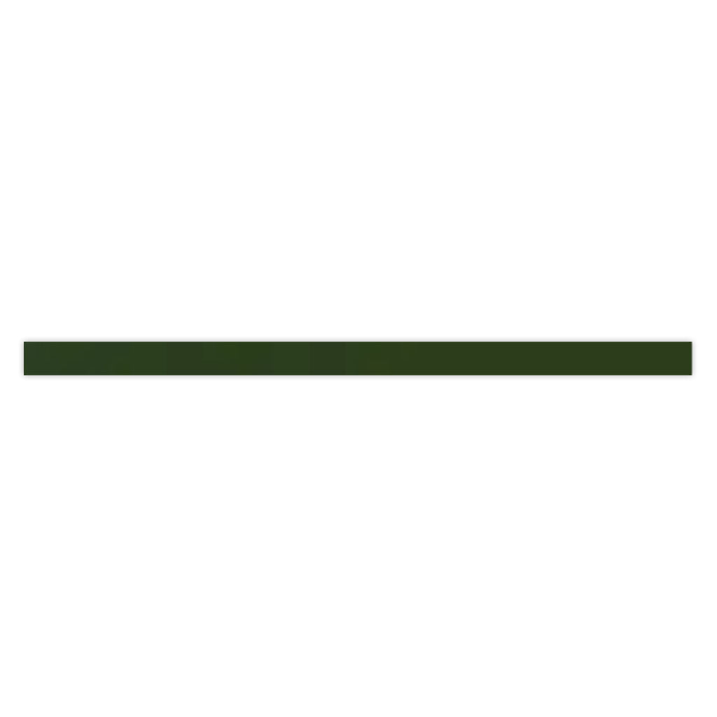 Deep Forest Green 0.6 x 12 Glossy Porcelain Bullnose Trim