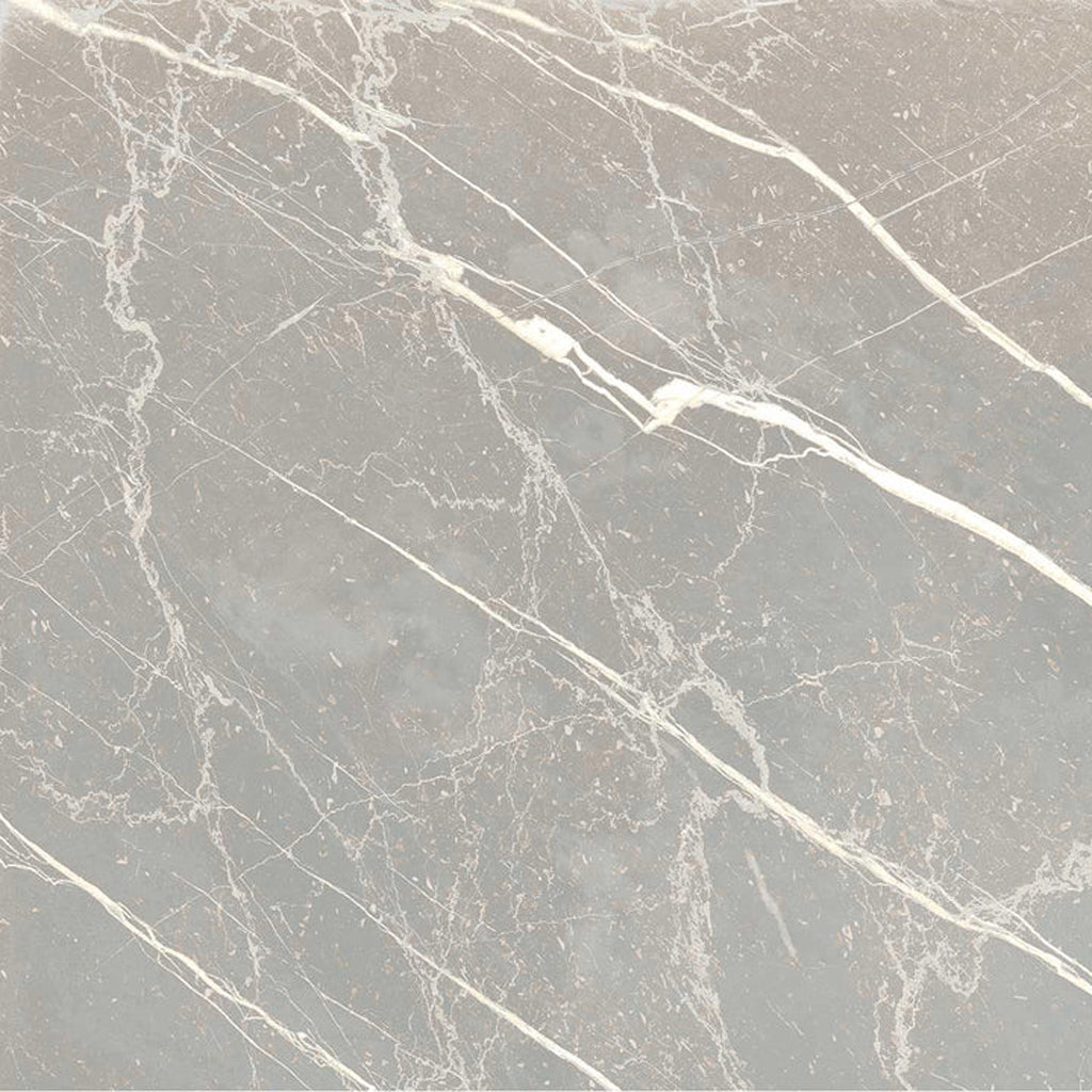 Ash Gray 12x12 Matte Porcelain Marble-look Vein Tile - Sample