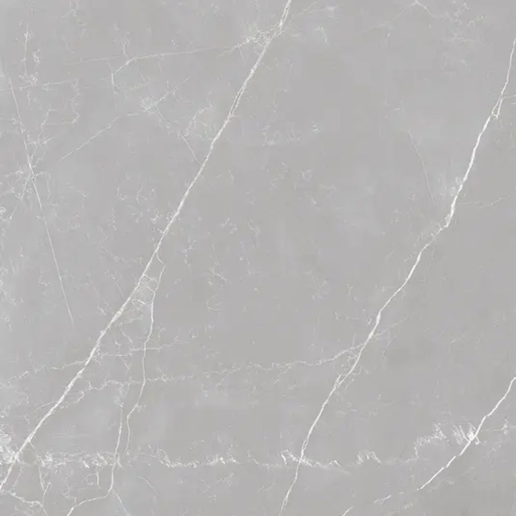 Ash Gray 24x24 Matte Color Body Porcelain Large Tile - Sample
