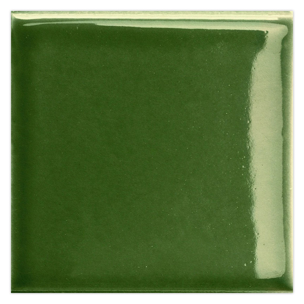 Deep Forest Green 2 x 16 Glossy Porcelain Tile - Sample