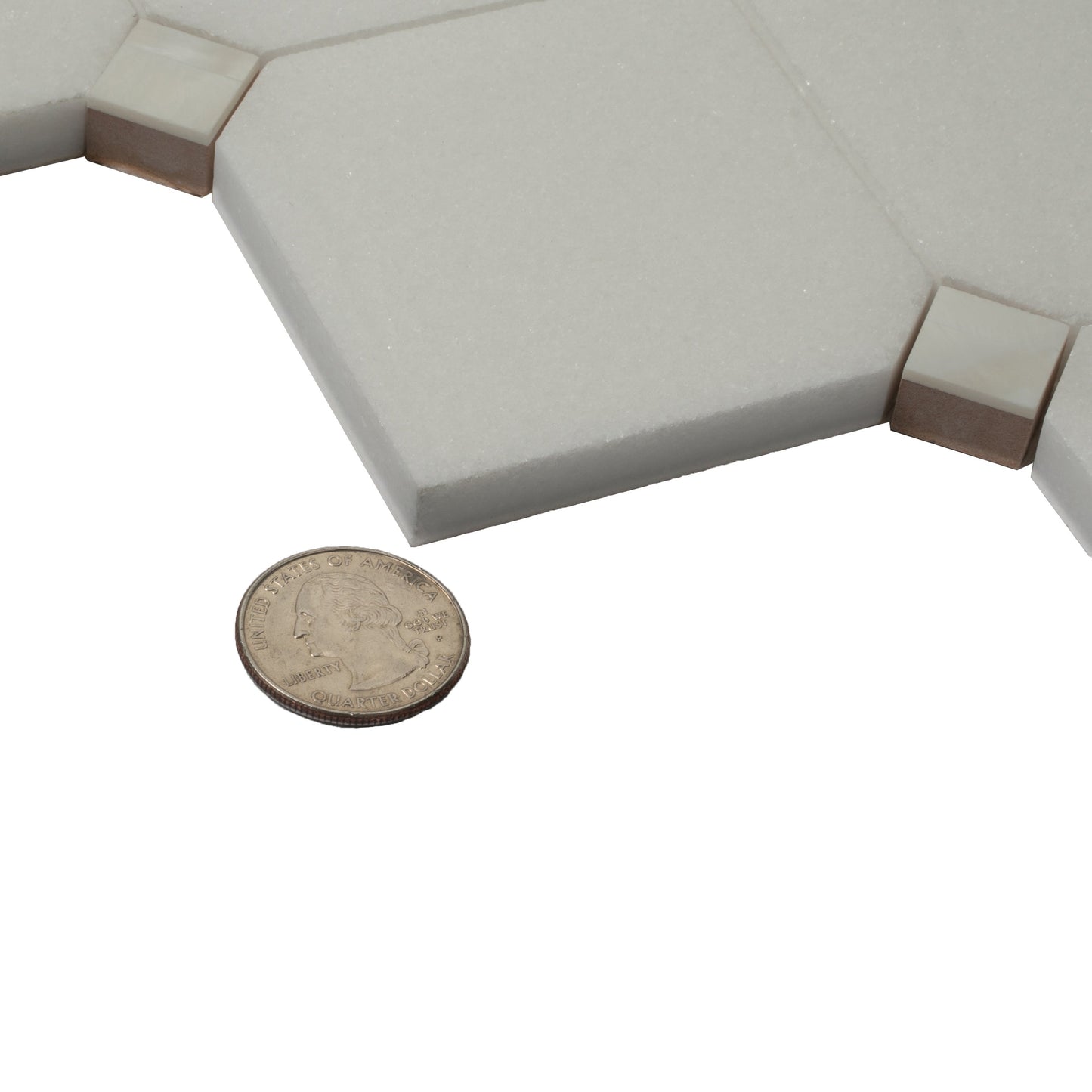 Pearl White 11x11 Polished Thassos, Shell Mosaic Tile