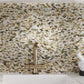 Beige and Brown 11 x 12 Polished Shell, Mother of Pearl Mosaic Tile