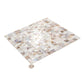 White, Beige 12 x 12 Polished Shell, Mother of Pearl Mosaic Tile - Sample