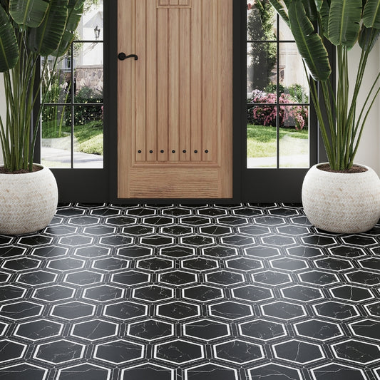 Black and White 9 x 10 Matte Porcelain Hexagon Tile