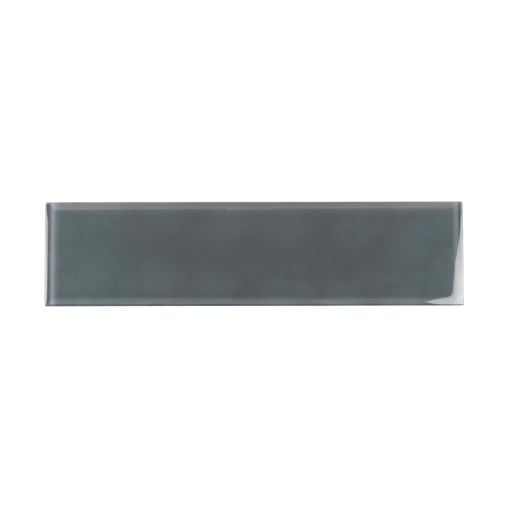 Coin Gray 4 x 16 Glossy Glass Subway Tile