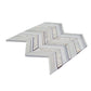 Pearl White 12x12 polished Thassos, Shell Mosaic Tile Sample