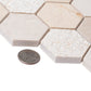 Beige 12 x 12 Polished, etched Marble Mosaic Tile