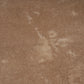 Terracotta Brown 9x9 Matte, Glossy Porcelain Plain Square Tile