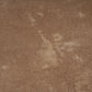 Terracotta Brown 9x9 Matte, Glossy Porcelain Plain Square Tile - Sample