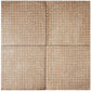 Terracotta Brown 9x9 Matte, Glossy Porcelain Dotted Square Tile