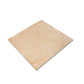 Terracotta Beige 9x9 Matte, Glossy Porcelain Plain Square Tile
