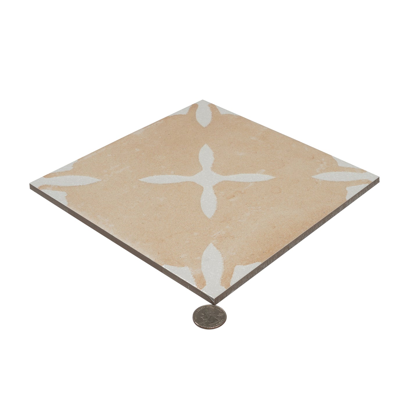 Terracotta Beige 9x9 Matte, Glossy Porcelain Floral Square Tile