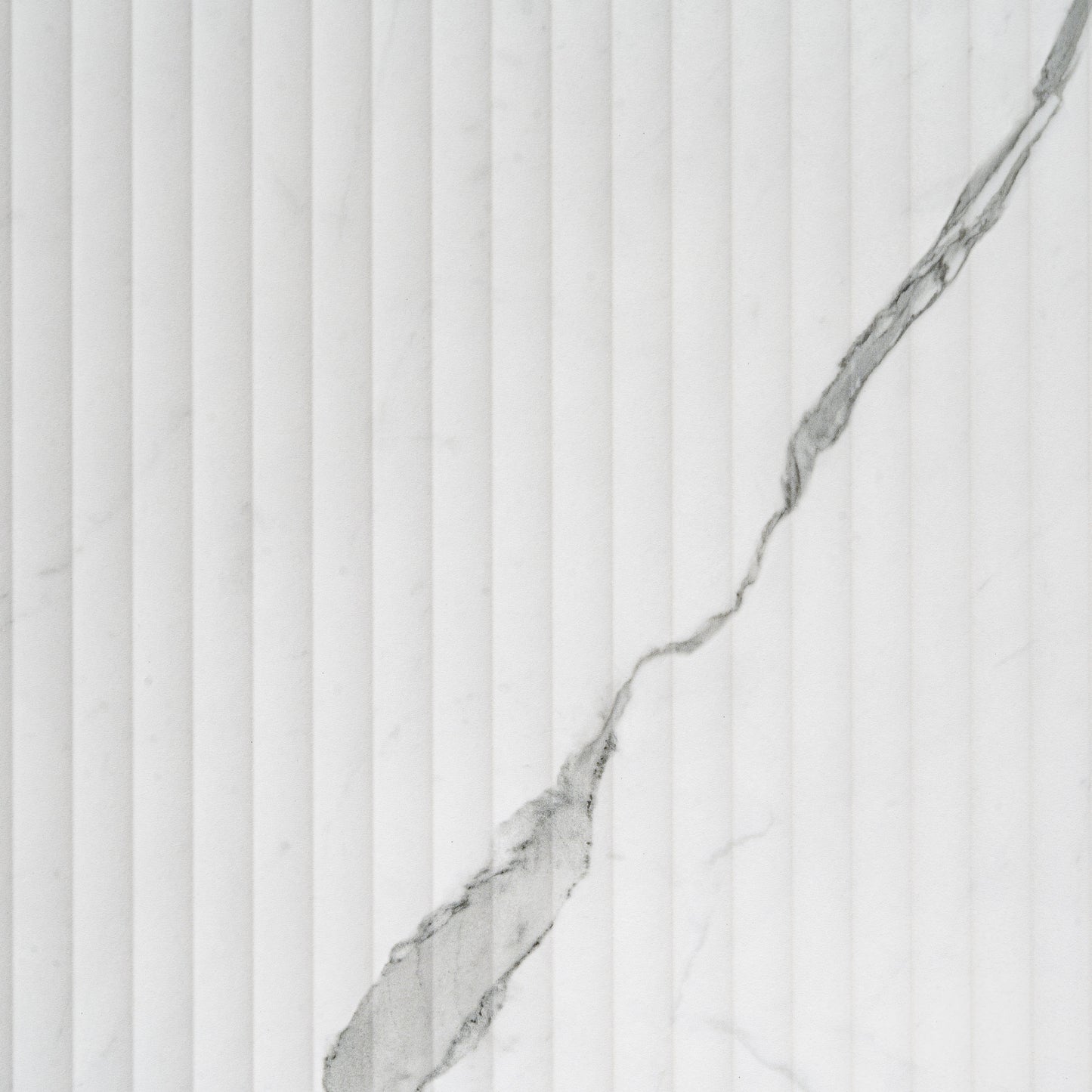 White Gray 24x48 Matte Porcelain Large Tile - Sample