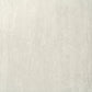 Ivory 24x48 Matte Porcelain Large Tile - Sample