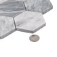 Light Gray 12x10 Polished Calacatta Bluette Hexagon Mosaic Tile - Sample
