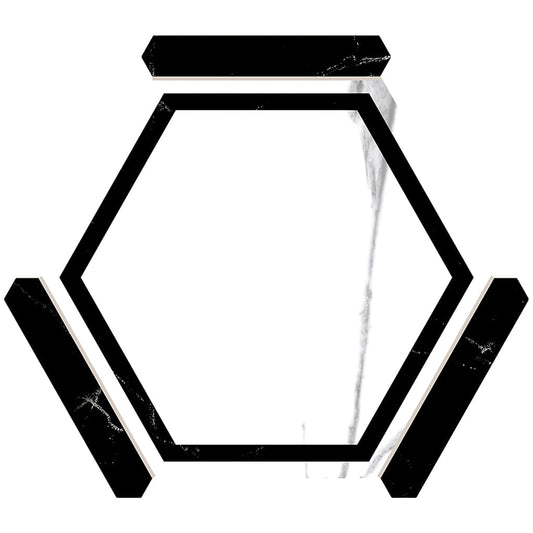 White and Black 9 x 10 Matte Porcelain Hexagon Tile - Sample
