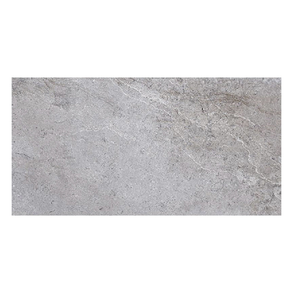 Coin Gray 12 x 24 Matte Porcelain Large Tile