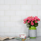 White 3 x 6 Matte Glass Subway Tile