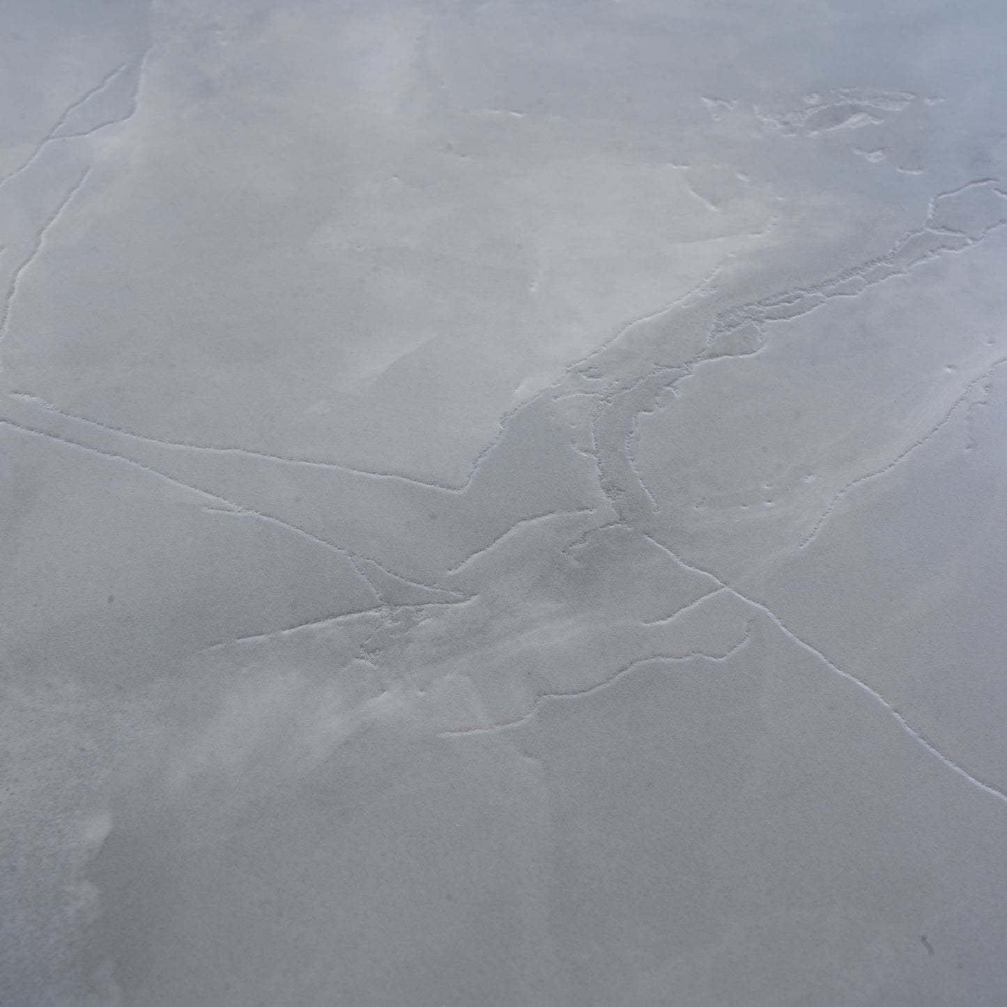 Celestine Blue 24x48 Honed Porcelain Large Tile - Sample