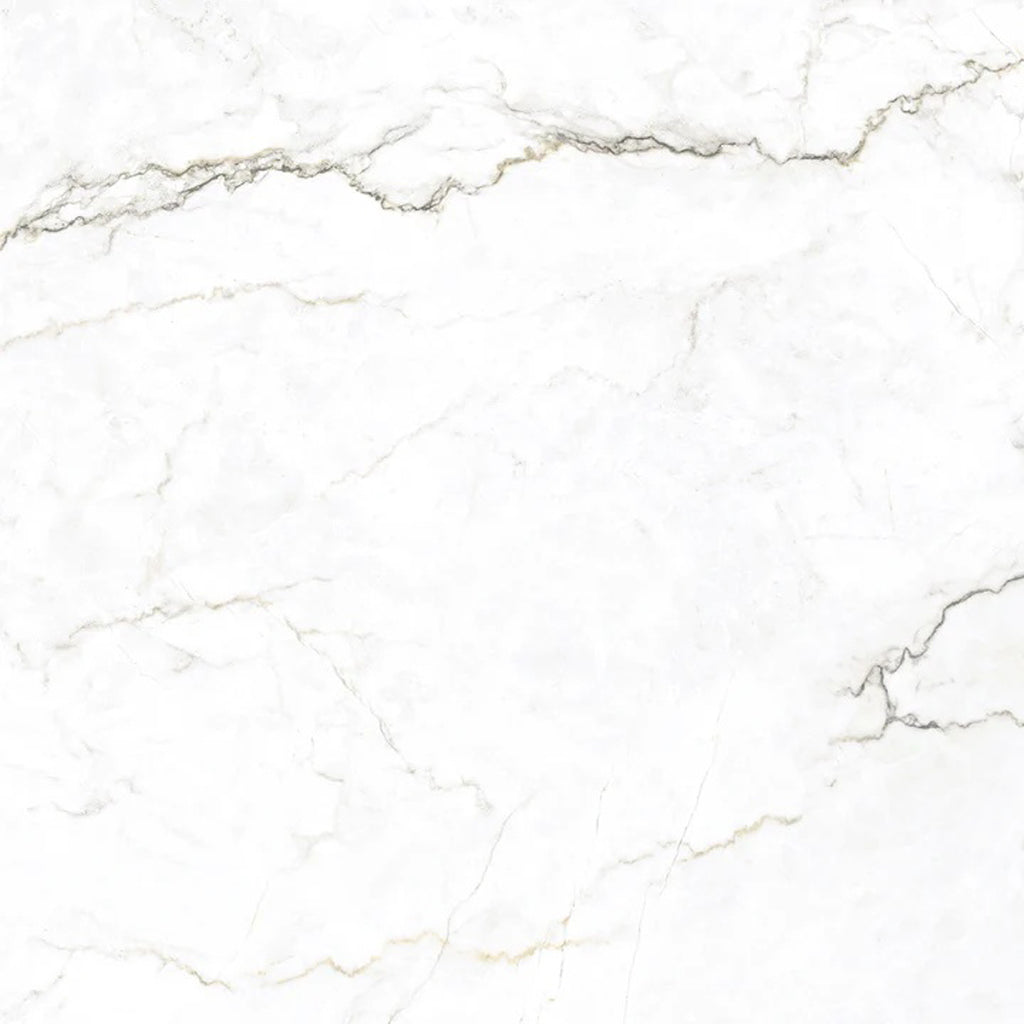 Gray Beige 48x48 Matte Porcelain Large Tile - Sample