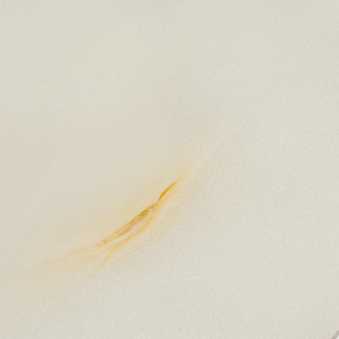 Perla 24x48 Lappato Porcelain Large Tile - Sample