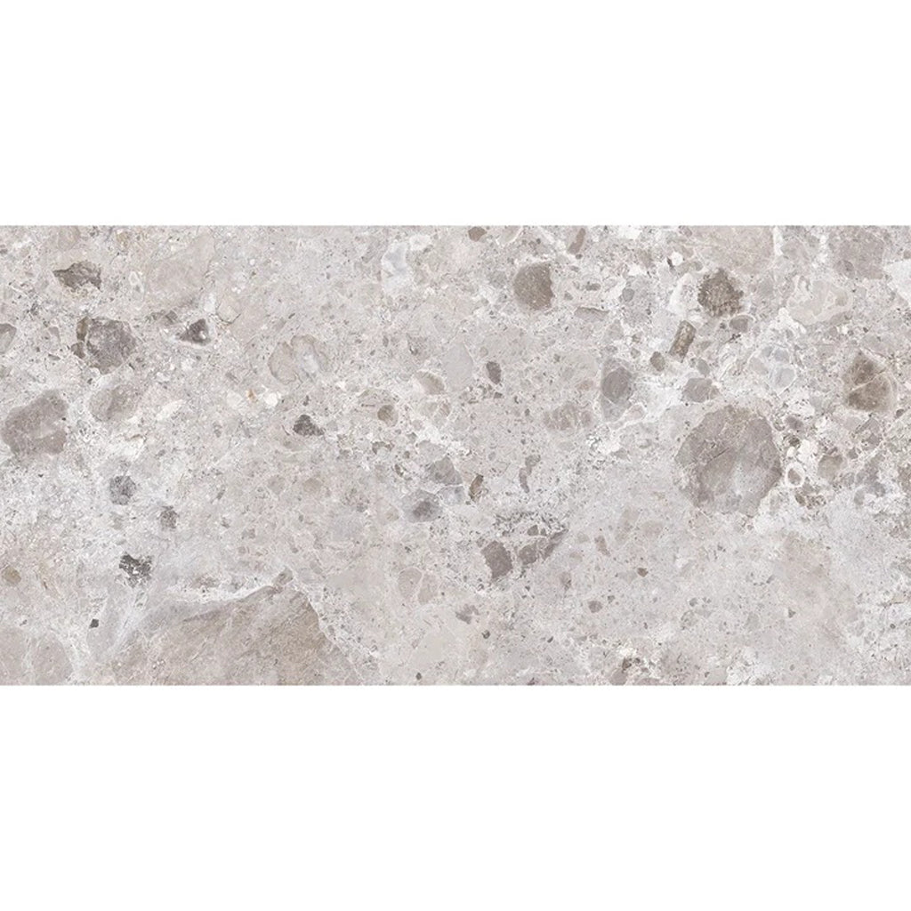 Petra Gray 24x48 Matte Porcelain Large Tile - Sample