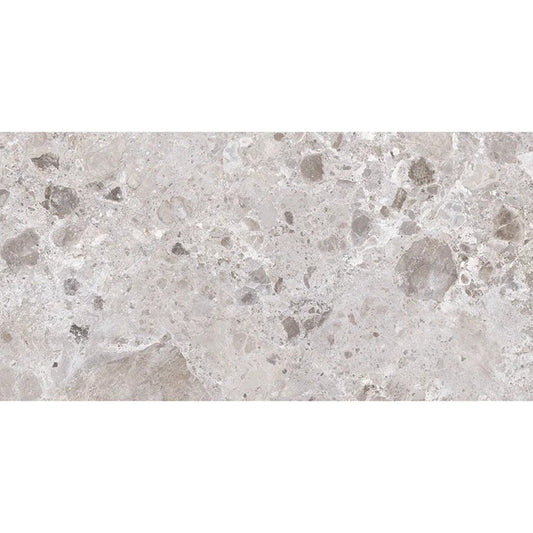 Petra Gray 24x48 Matte Porcelain Large Tile - Sample