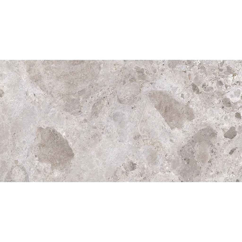 Petra Gray 24x48 Matte Porcelain Large Tile - Sample