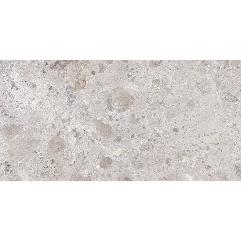 Petra Gray 24x48 Matte Porcelain Large Tile - Sample