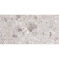Petra Gray 24x48 Matte Porcelain Large Tile - Sample
