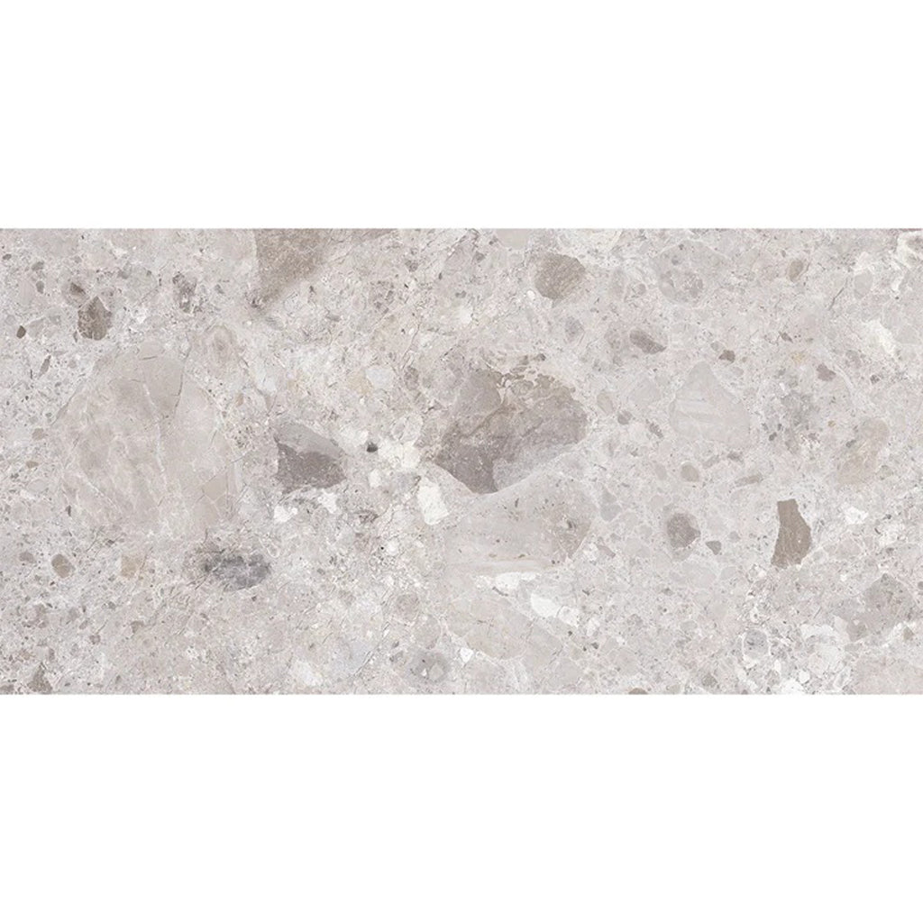 Petra Gray 24x48 Matte Porcelain Large Tile - Sample