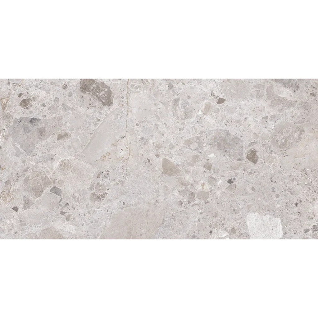 Petra Gray 24x48 Matte Porcelain Large Tile - Sample