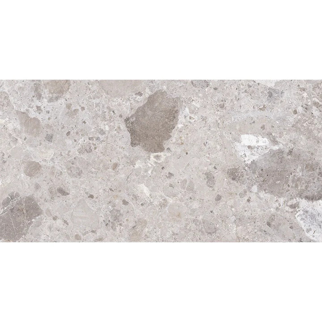 Petra Gray 24x48 Matte Porcelain Large Tile