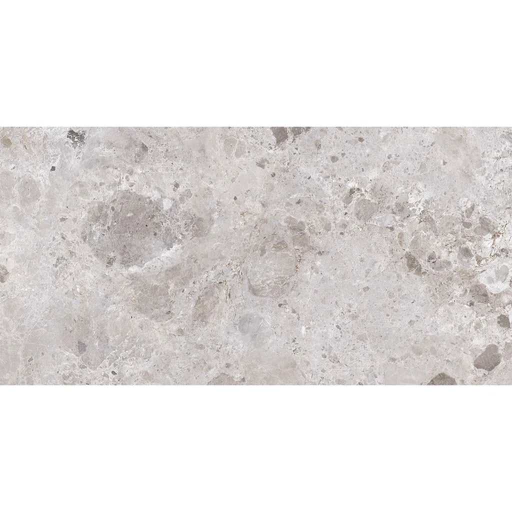 Petra Gray 24x48 Matte Porcelain Large Tile