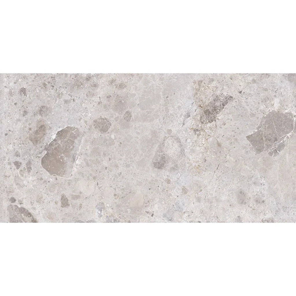Petra Gray 24x48 Matte Porcelain Large Tile - Sample