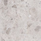 Petra Gray 48x48 Matte Porcelain Large Tile