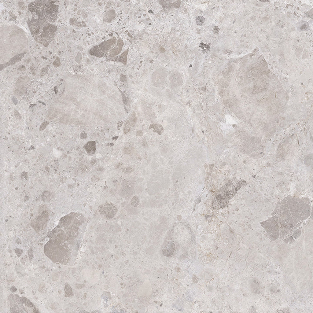 Petra Gray 48x48 Matte Porcelain Large Tile - Sample