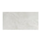 Ivory Pearl White 24x48 Honed Porcelain Large Tile - Sample