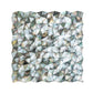 Black 12x12 Polished Shell Mosaic Tile Sample