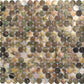 Beige and Brown 12 x 12 Polished Shell, Mother of Pearl Mosaic Tile - Sample