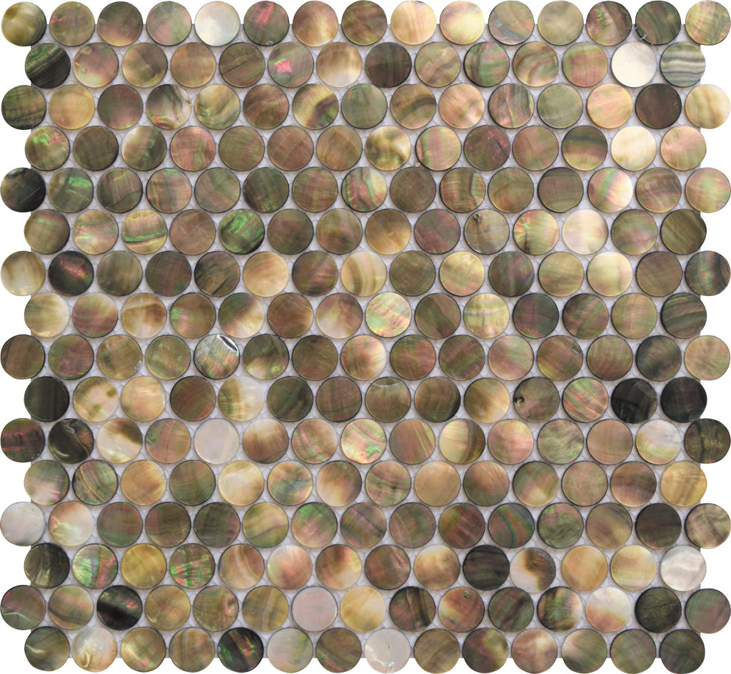 Beige and Brown 12 x 12 Polished Shell, Mother of Pearl Mosaic Tile - Sample
