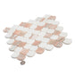 Pink, White 11x11 Polished Thassos, Norway Rose Fan Mosaic Tile