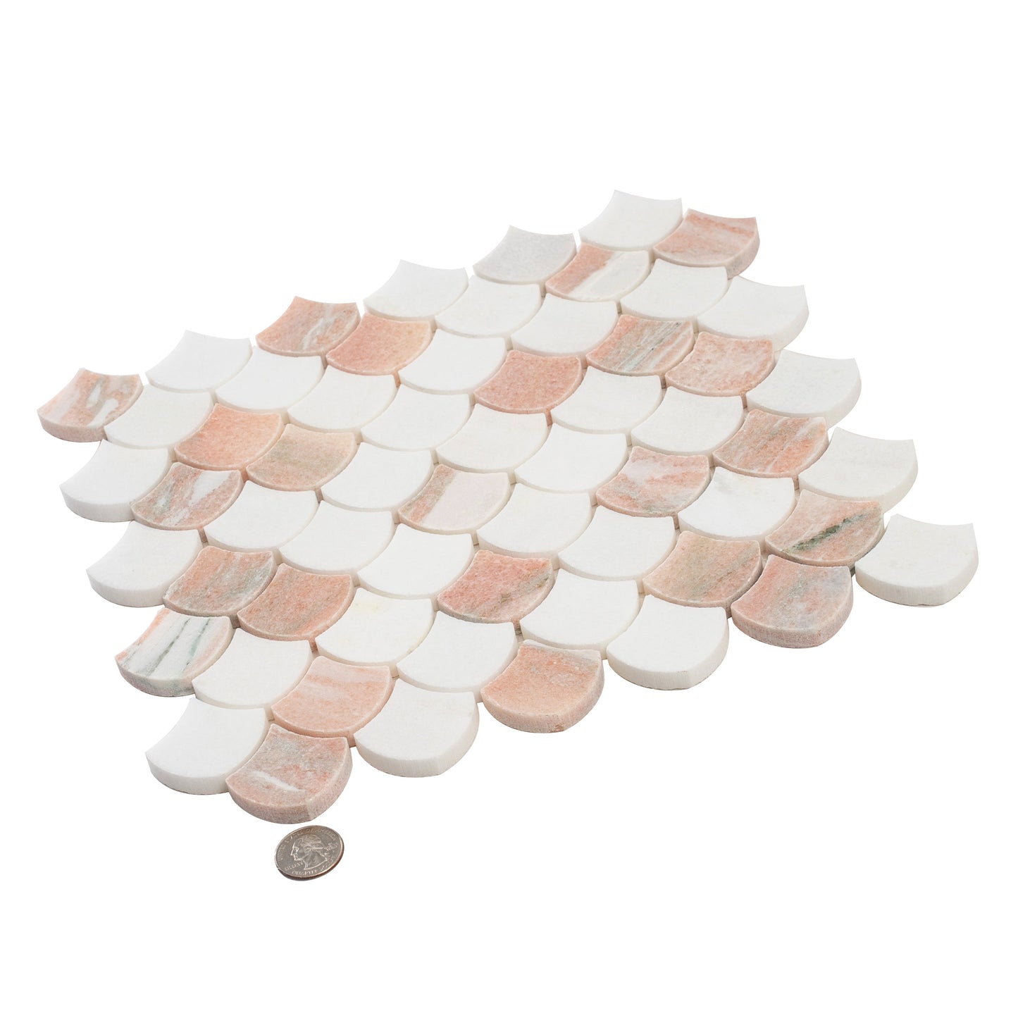 Pink, White 11x11 Polished Thassos, Norway Rose Fan Mosaic Tile