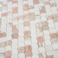 Pink, White 11x11 Polished Thassos, Norway Rose Fan Mosaic Tile